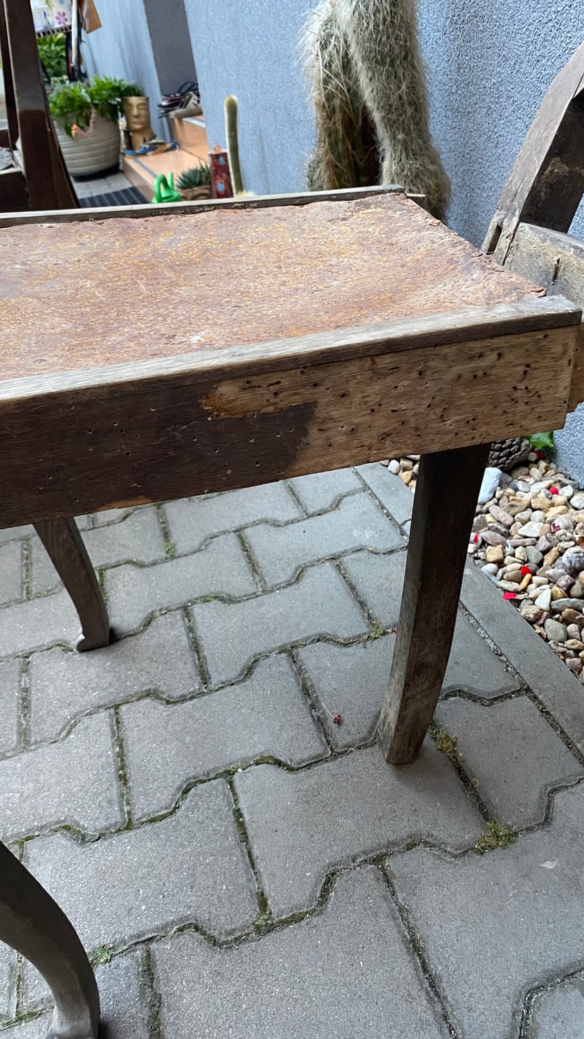 Starožitné jídelní židle v kůži — Starožitný nábytek, čalounictví Hradec Králové — fotografie 3